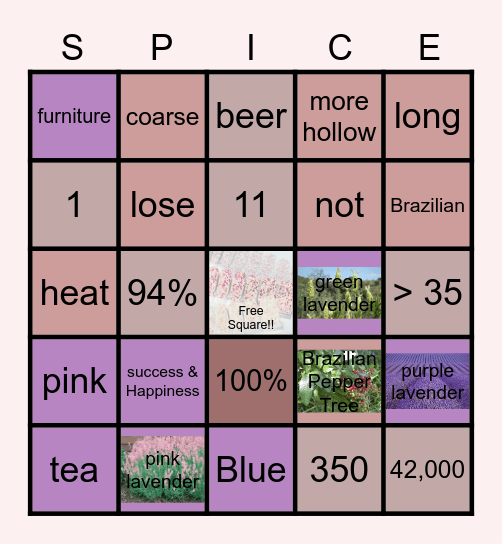 Sugar & Spice game night Bingo Card
