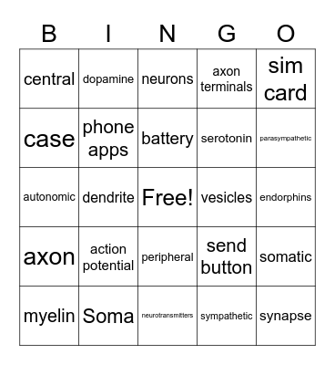 Chapter 3 Neurons and Nervous System Bingo Card