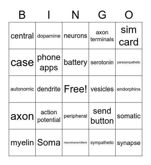 Chapter 3 Neurons and Nervous System Bingo Card