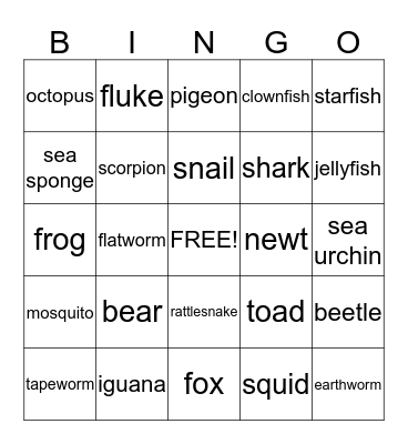 Animal Kingdom Bingo Card