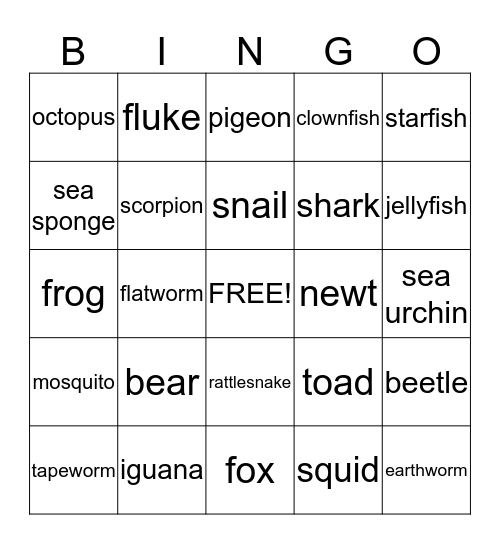 Animal Kingdom Bingo Card