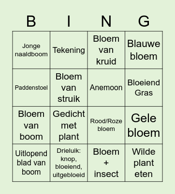 Voorjaarsbingo Card