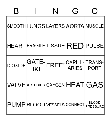 CIRCULATORY BINGO Card
