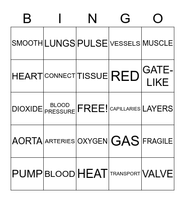 CIRCULATORY BINGO Card