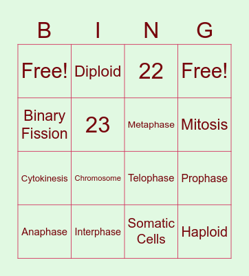 Mitosis! Bingo Card