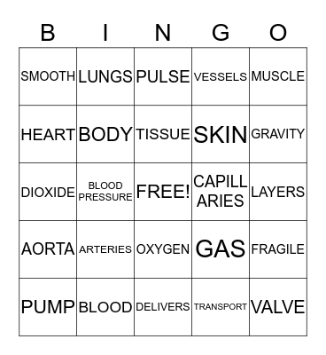 CIRCULATORY BINGO Card
