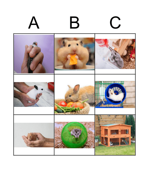 Cuidemos a nuestras mascotas Bingo Card
