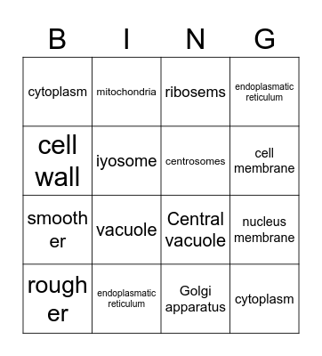 plant cells Bingo Card