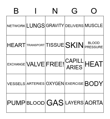 CIRCULATORY BINGO Card