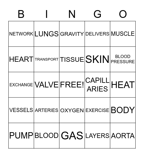 CIRCULATORY BINGO Card