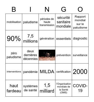 Zéro Paludisme Bingo Card