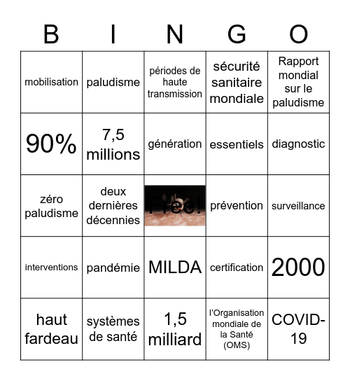 Zéro Paludisme Bingo Card