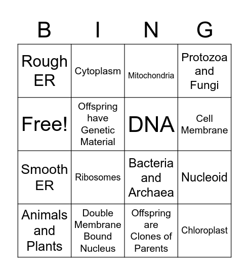 Eukaryotic vs. Prokaryotic Bingo Card