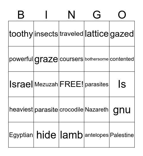 lions Bingo Card