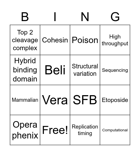 VRs FLTS Bingo Card