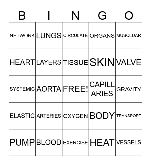 CIRCULATORY BINGO Card