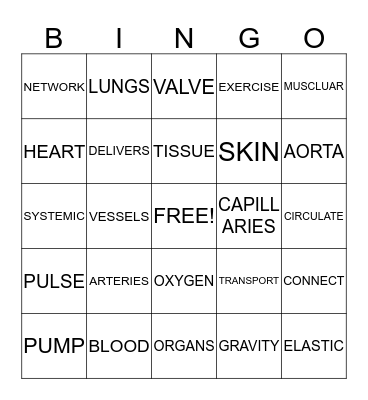 CIRCULATORY BINGO Card