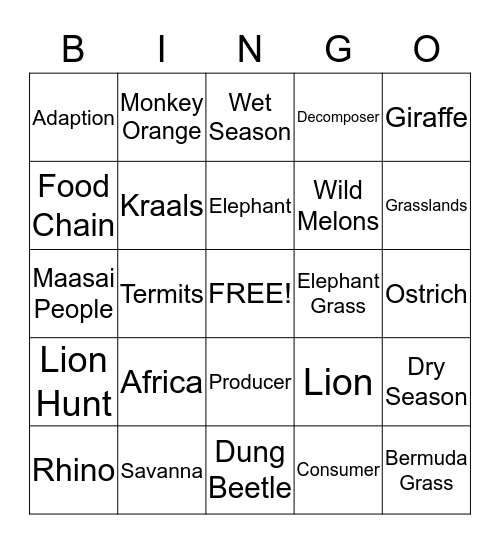 African Savanna Bingo Card