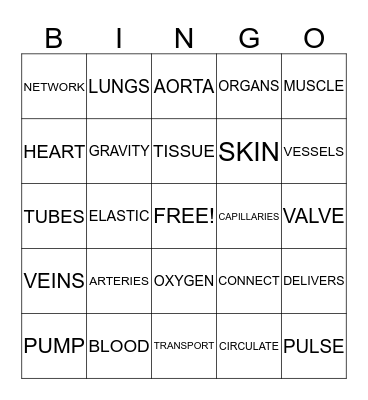 CIRCULATORY BINGO Card