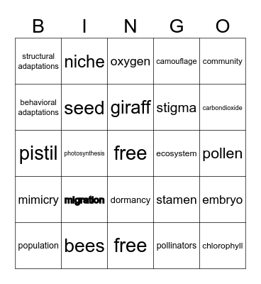 Science Bingo Card