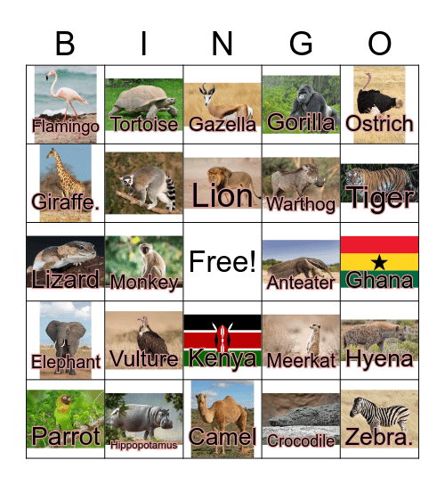 Africa Bingo Card