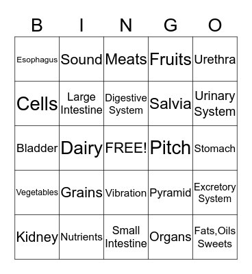 The Human Body BINGO Card