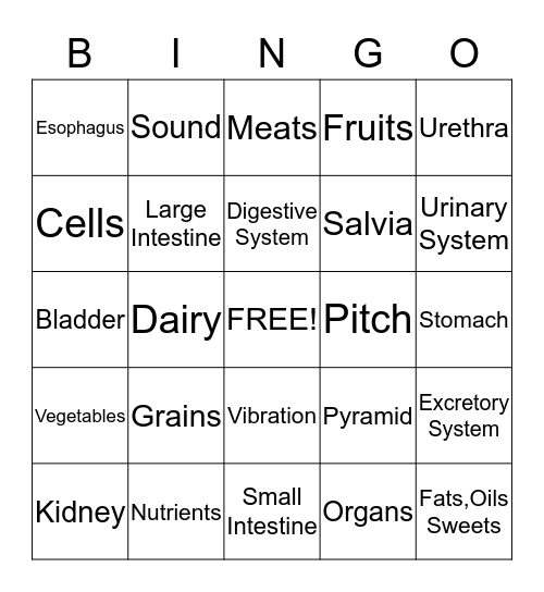 The Human Body BINGO Card