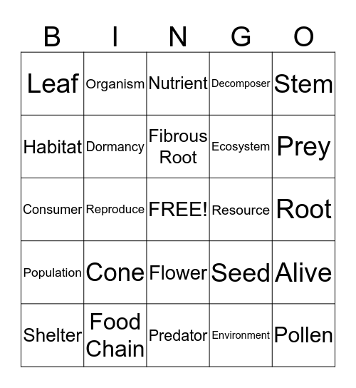 Organisms and Environments Bingo Card