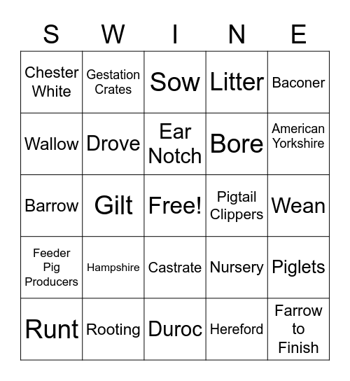 Swine Bingo Card