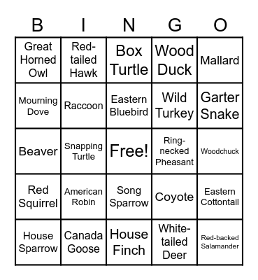 WHEP ID Bingo Card