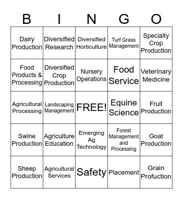 SAE Areas Bingo Card