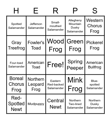 Amphibians of Ontario Bingo Card