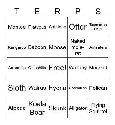 Animals Bingo Card