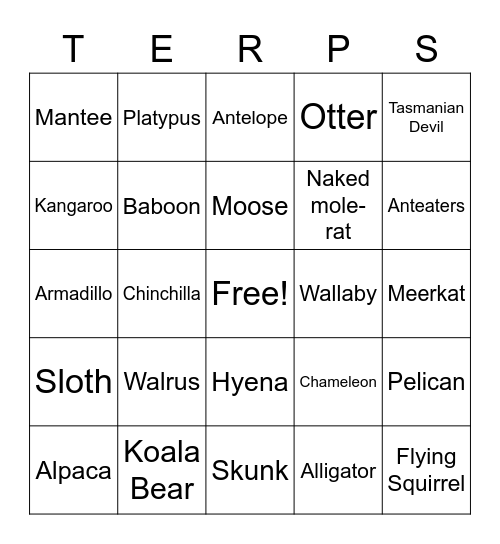 Animals Bingo Card