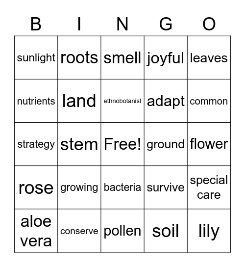 Plants Bingo Card