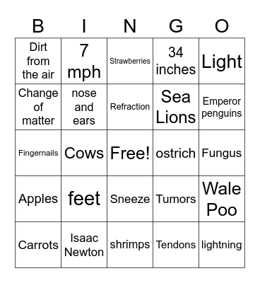 Fun Facts 2 Bingo Card