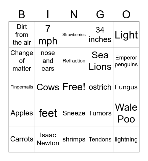 Fun Facts 2 Bingo Card