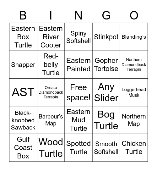 Eastern Turtle Bingo Card