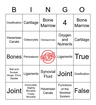 Skeletal System Bingo Card