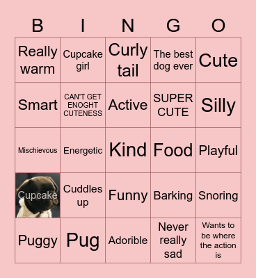 Cupcake Girl Bingo Card