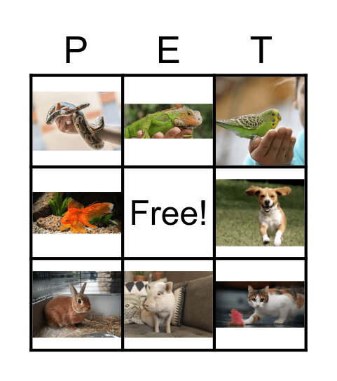 Pets BINGO! Bingo Card