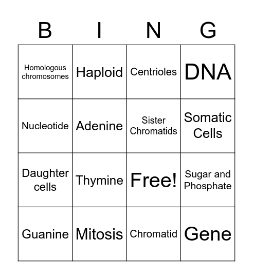 Mitosis Bingo Card