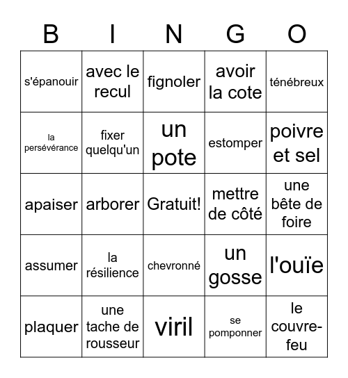 Vocabulaire unité 3 Bingo Card