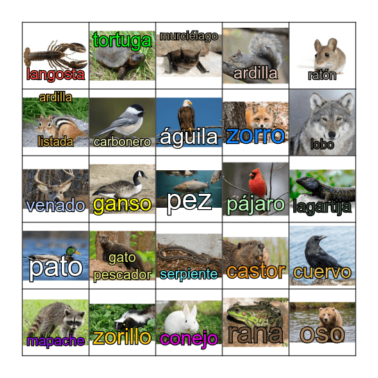 Animales de Maine Bingo Card