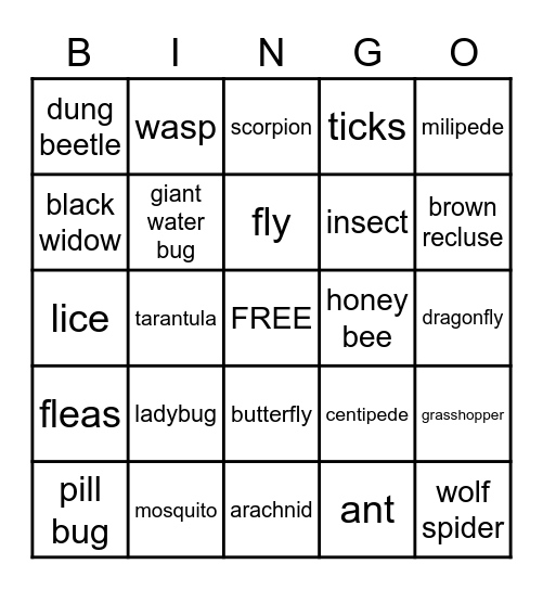 What Kind of Bug is That? Bingo Card