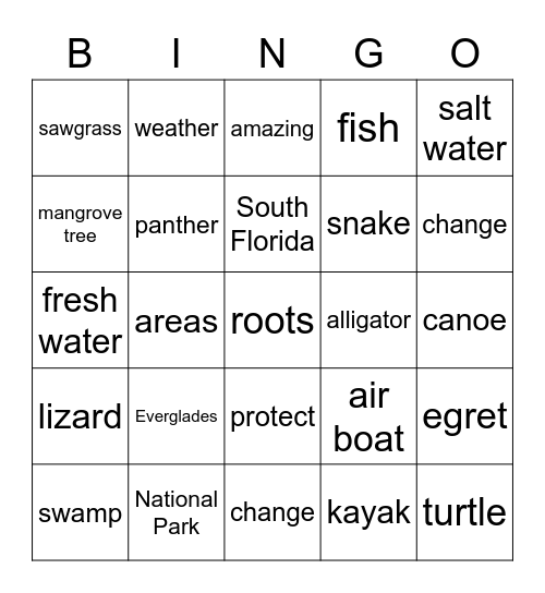 Everglades Bingo Card