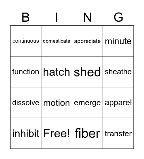 Book 6: Lesson 6 Bingo Card