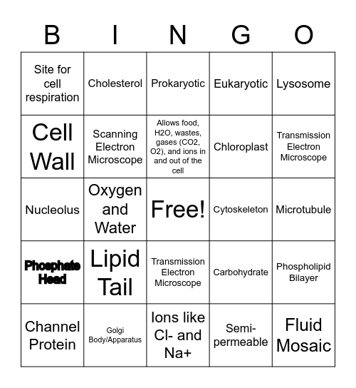 Cell Review Bingo Card