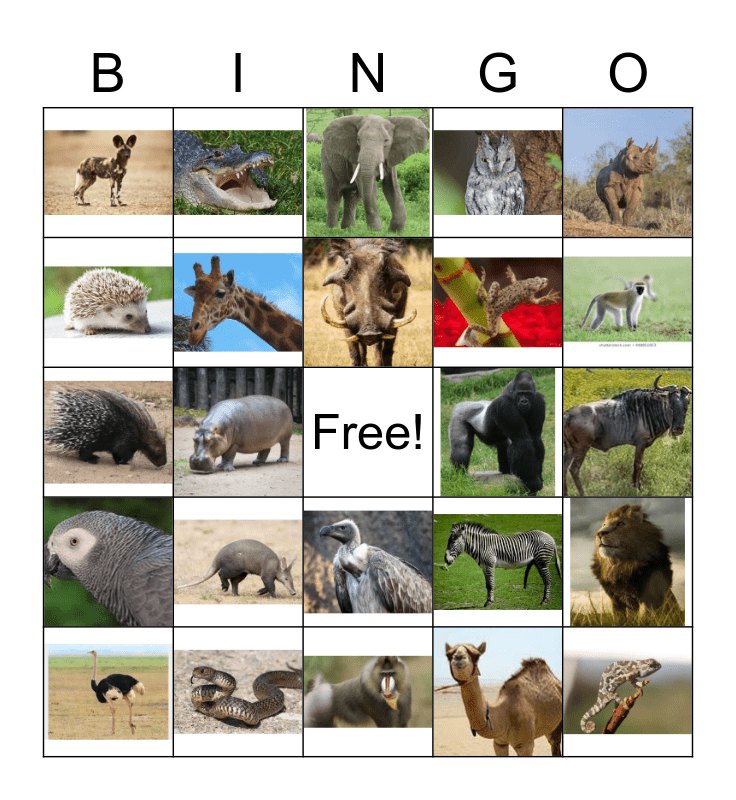 AFRICAN ANIMALS Bingo Card