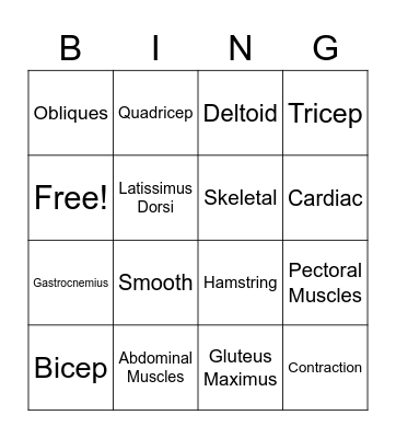 Muscular System Bingo Card